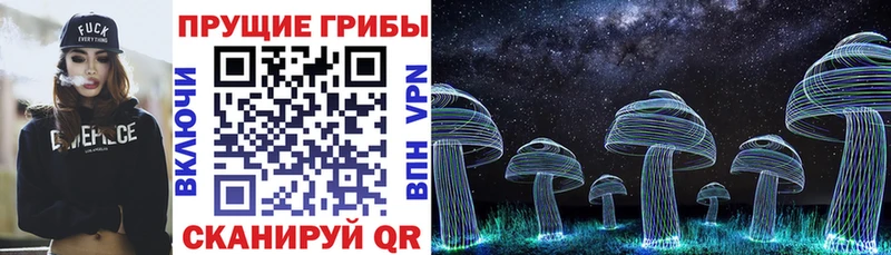Псилоцибиновые грибы мицелий  Плёс 